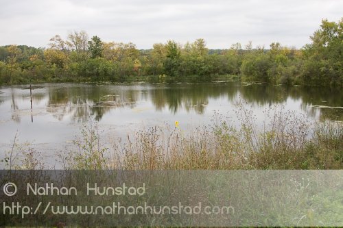 Pond_2008-09-27_IMG_2141